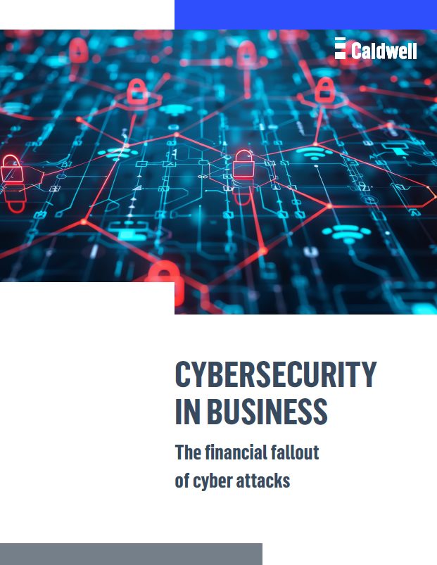 Cybersecurity in Business